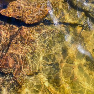 Water Restoration Certificates