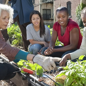 Certified Peer Support Services (CPSW)