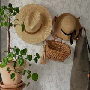 Rotating Seasonal Selections