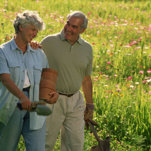 Reverse Mortgages