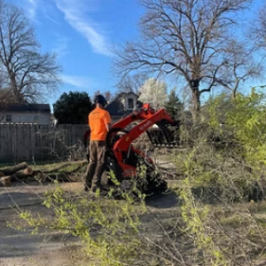 Land Clearing