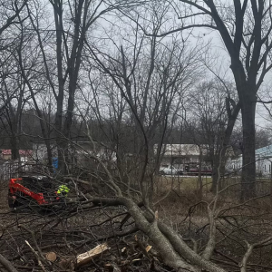Storm Cleanup
