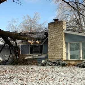 Reconstruction Services
