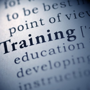 Training & Workshop Facilitation