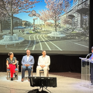 Immersive Public Art Experiences