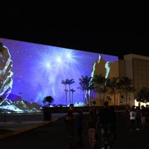 Site-Specific Public Art Installations