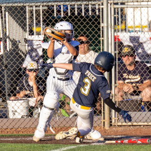 Summer Baseball