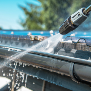 Gutter Cleaning Service