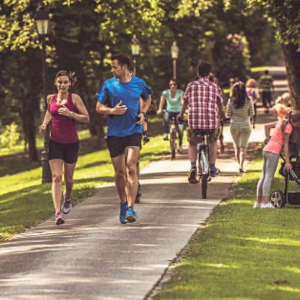Sports Injury Rehabilitation