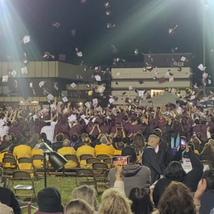 Stronger future for Elko