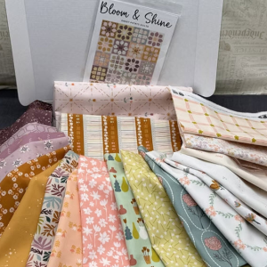 Quilt Kits