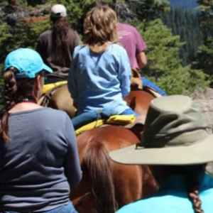 Guided Horseback Trail Rides