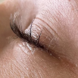 Eyebrows Lamination
