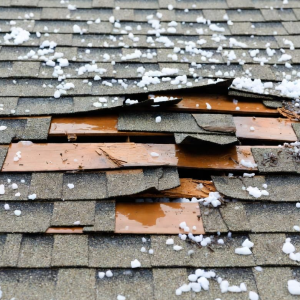 Storm & Roof