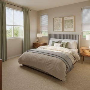 1-Bedroom Luxury Apartments