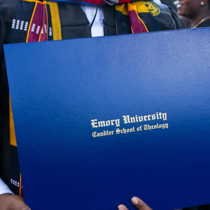 Dual Degrees
