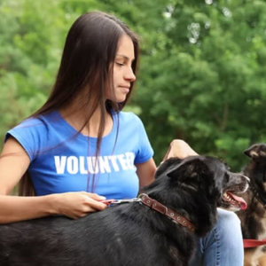 Volunteer