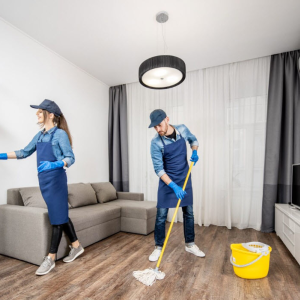 Apartment Cleaning
