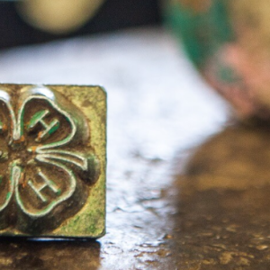 4-H Youth Development