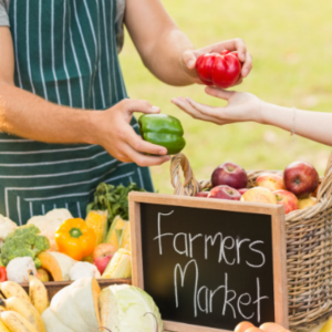 Agriculture Business