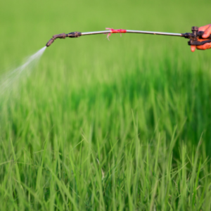 Pests & Pesticides