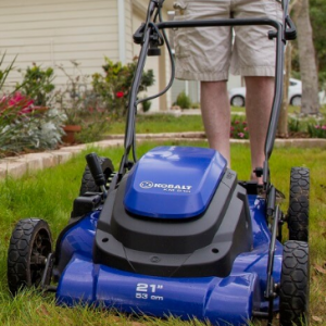 Florida-Friendly Landscaping