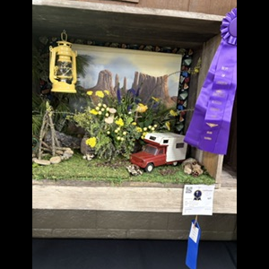2026 Colusa County Fair