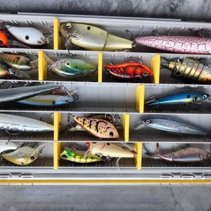 Hard Lures