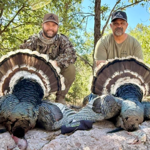 Guided Hunting Experiences
