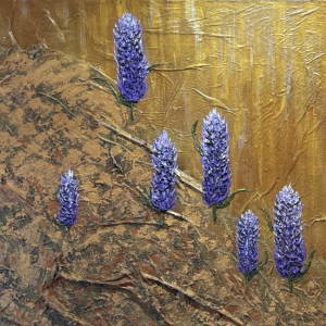 Resurrection Lupines