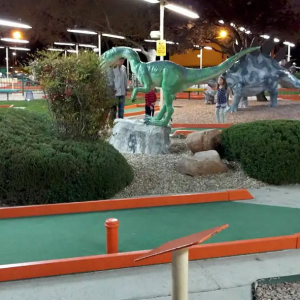Miniature Golf Experience