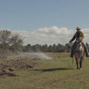 Private Lands Stewardship