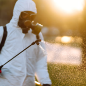 Pest Control Services