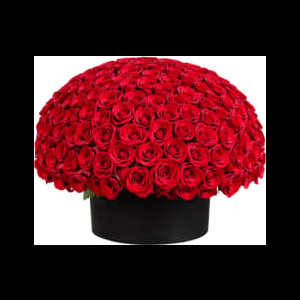 French Floral 100 Rose Box