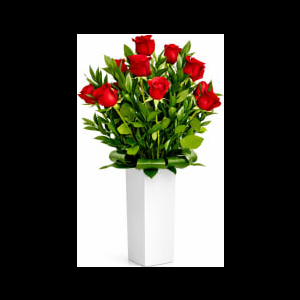 One Dozen Red Roses In A Vase | Miami Flower Delivery
