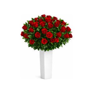 Two Dozen Red Roses Statement Arrangement | Same Day Flower Deliv