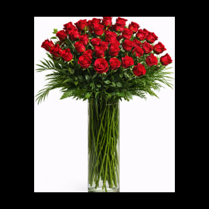Four Dozen Roses Grand Statement Arrangement | Same Day Flower De