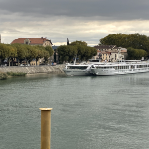 Cruises