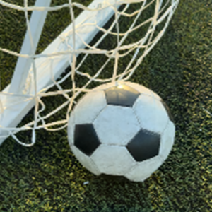 Weekly Team Bookings