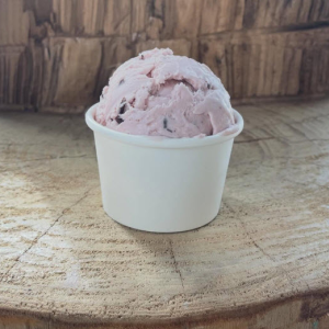 Homemade Ice Cream Treats