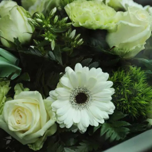 Burial Services