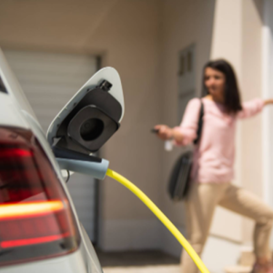 Electric Vehicle Chargers