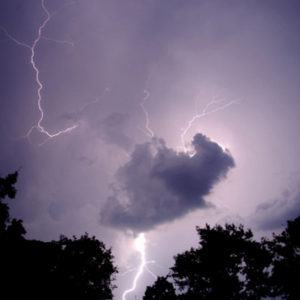 Home Surge Protection
