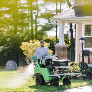 Lawn Surface Insect Control