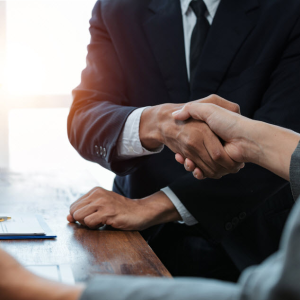 Litigation Support