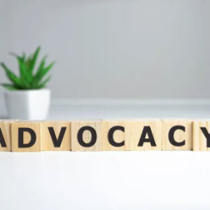 Special Education Advocacy