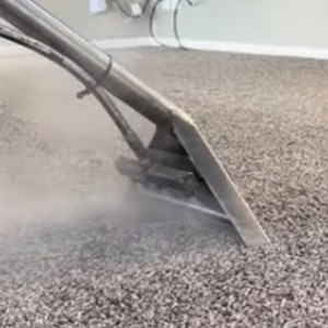 Carpet Steam Cleaning