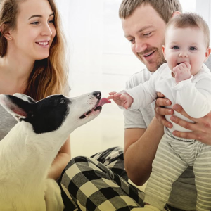 Life Insurance
