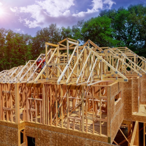 Real Estate Development