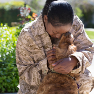 Elko Veterans Corp Pet Adoption Program